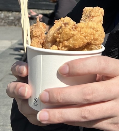 プレーンからあげ 4個入り